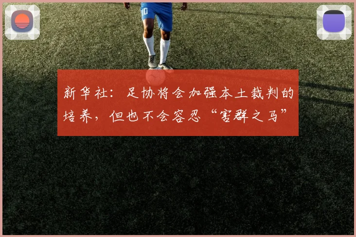 新华社：足协将会加强本土裁判的培养，但也不会容忍“害群之马”