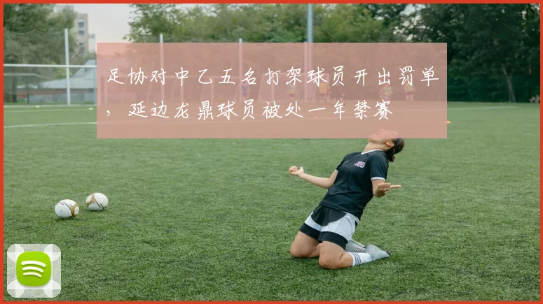 足协对中乙五名打架球员开出罚单，延边龙鼎球员被处一年禁赛